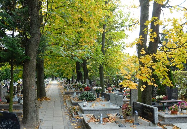 cmentarz, pośród alejek i zielonych drzew widać granitowe nagrobki, na których stoją kwiaty i znicze